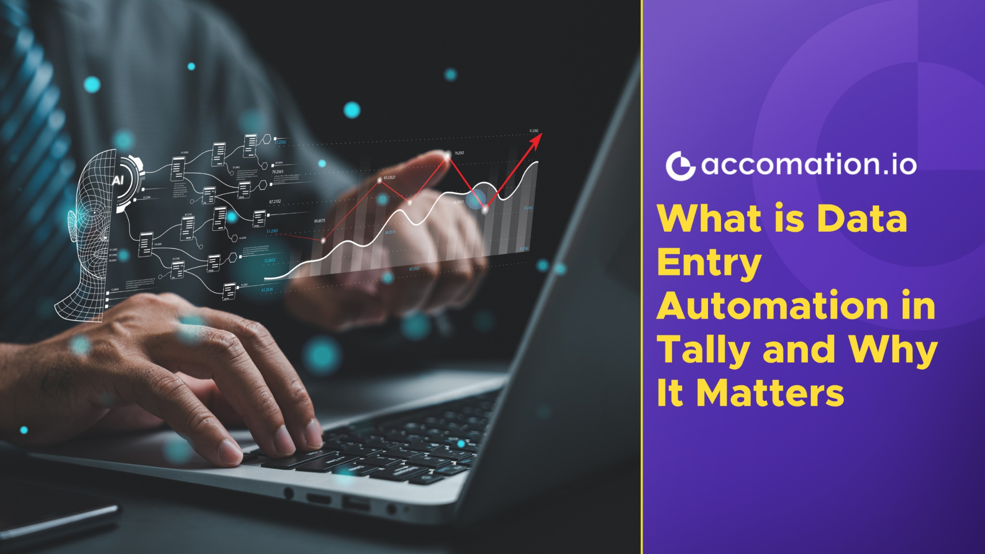 What is Data Entry Automation in Tally and Why It Matters